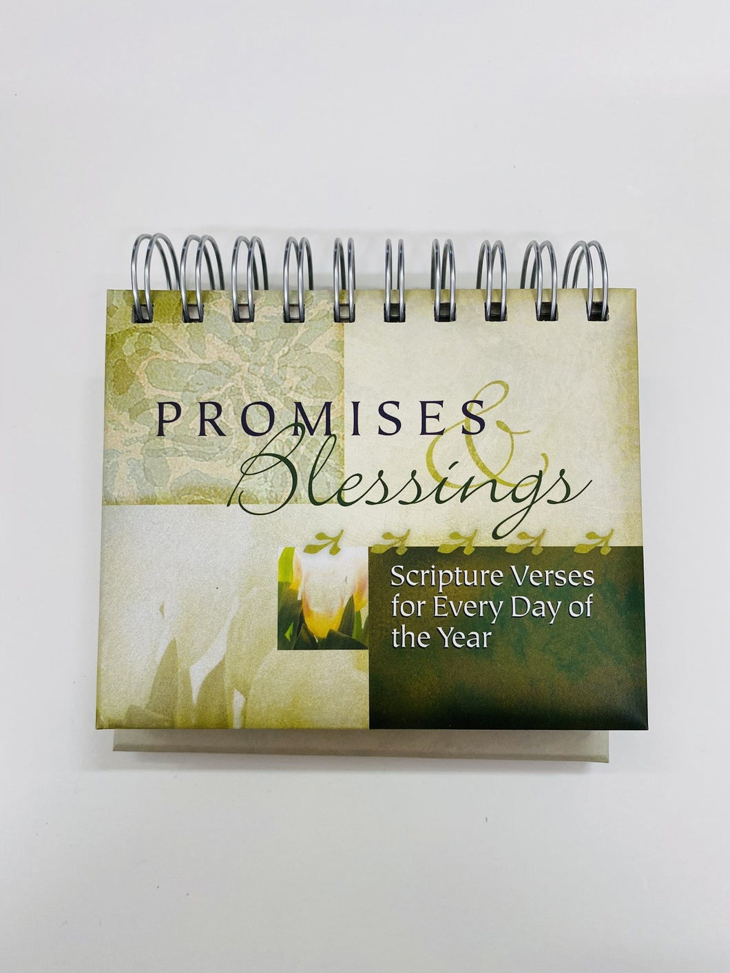 Day brightener: Promises & Blessings