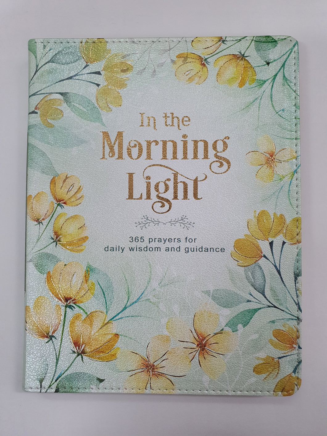 In the Morning Light