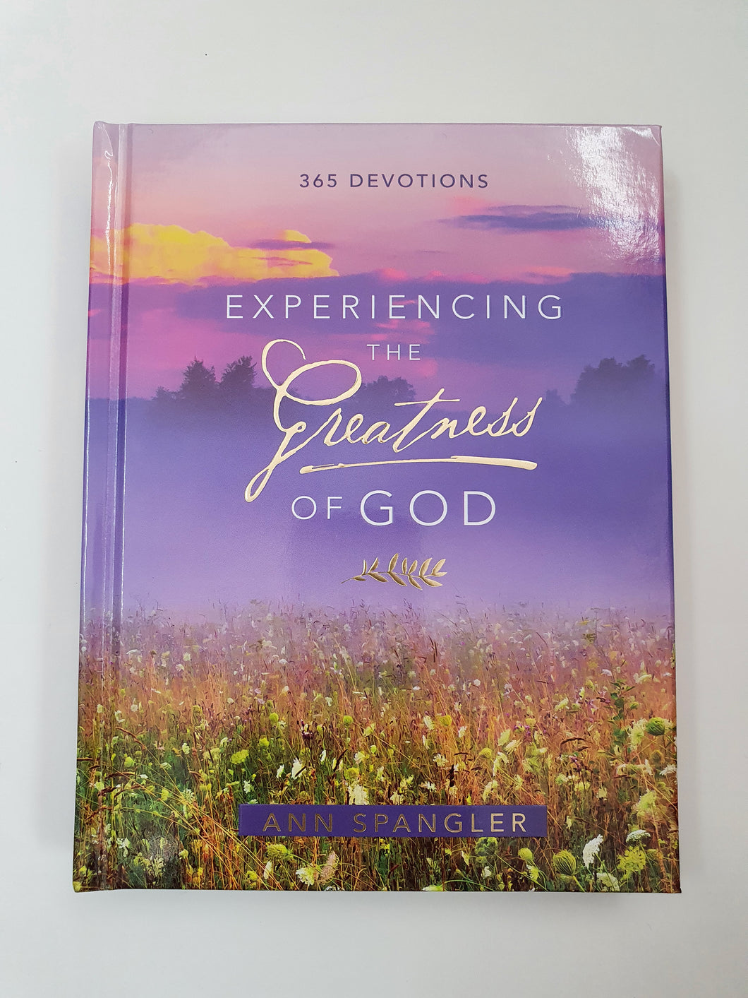 Experiencing the Greatness of God - 365 Devotions