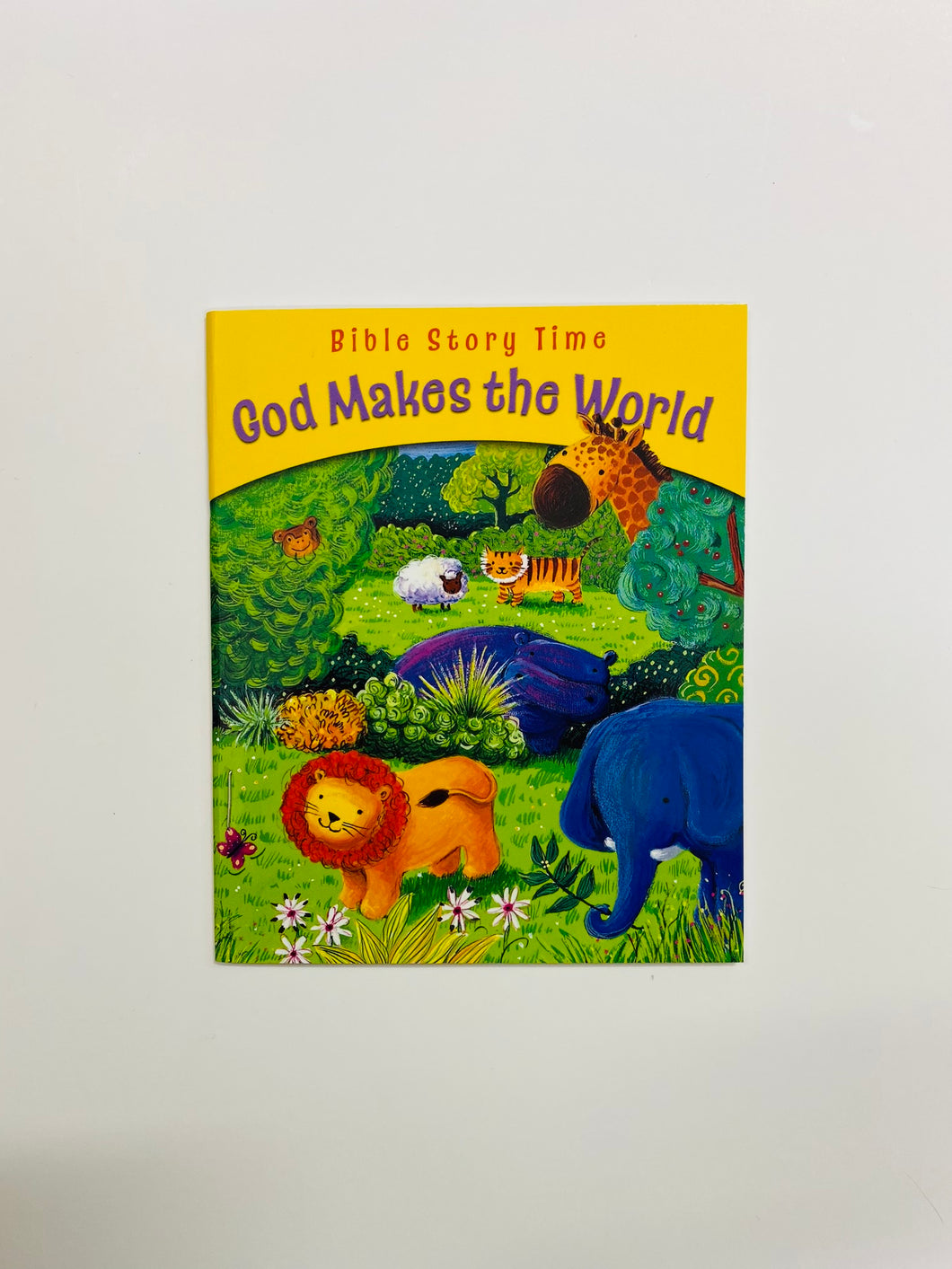 Bible Story Time: God Makes the World